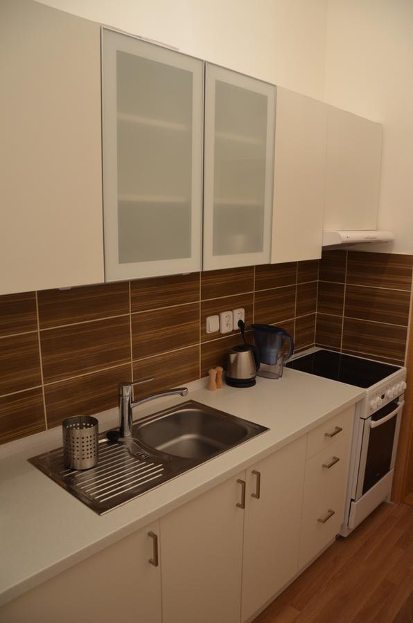 Comfortable Vlkova Apartmán
