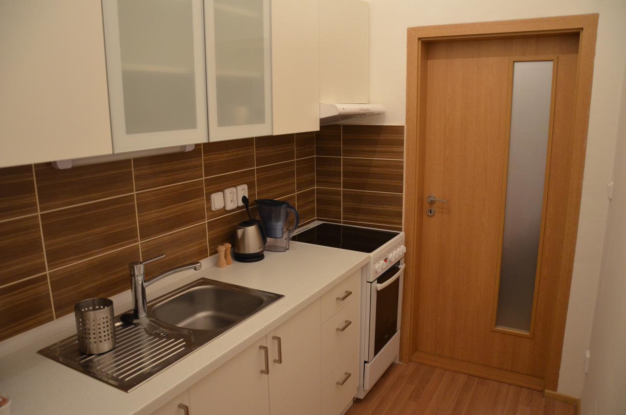 Comfortable Vlkova Apartmán